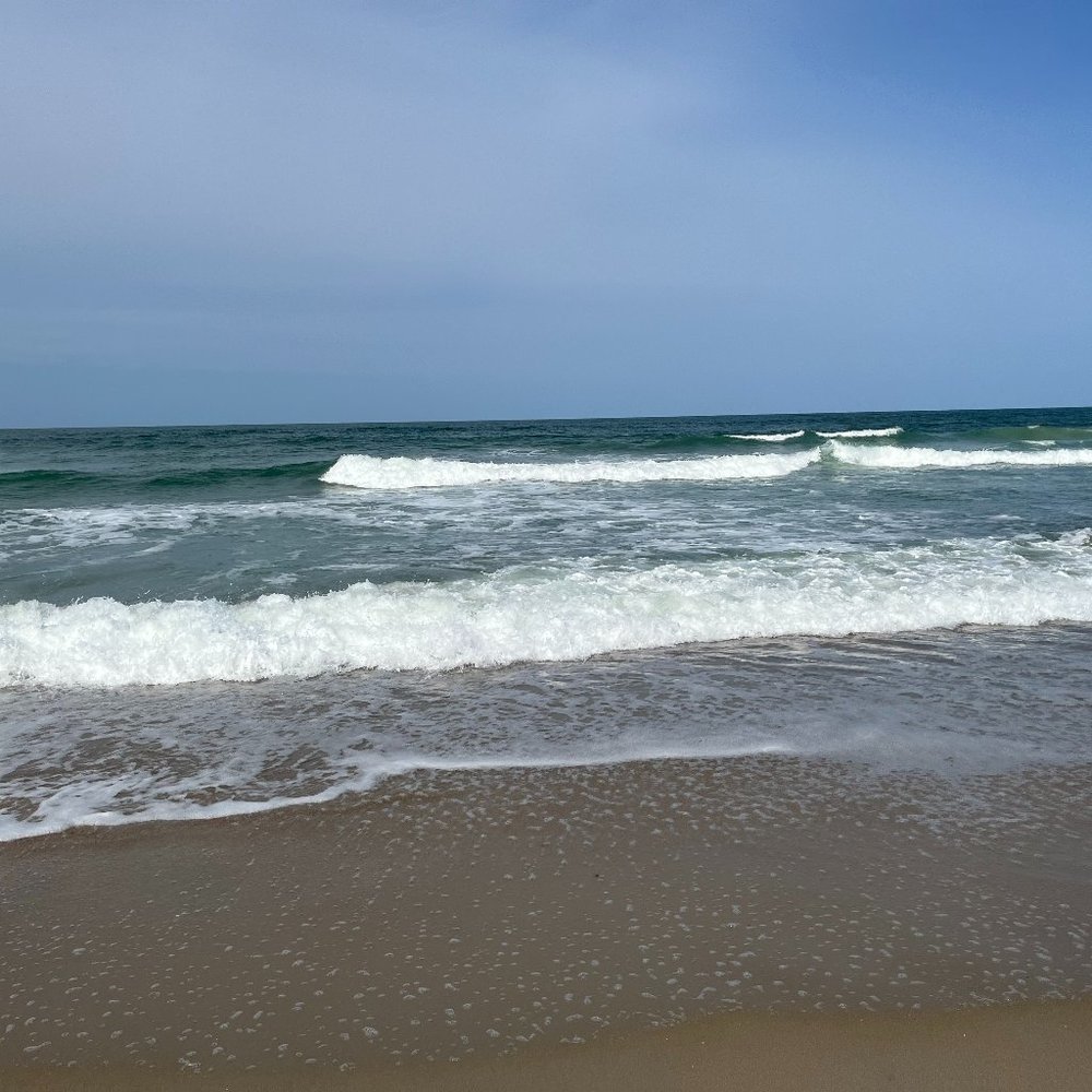 Meet your Posher, R. Joelle